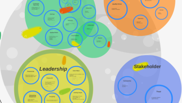 eco-system-impact-mapping-innovation